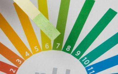 Why look after your pH levels?