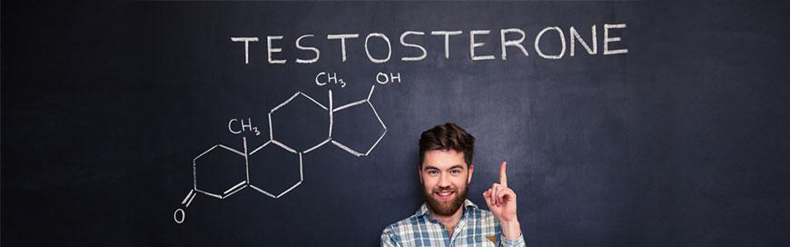 How to naturally boost testosterone level for middle-age men trying to put on muscle