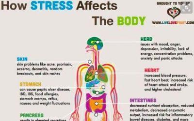 What is stress and what you can do to manage it