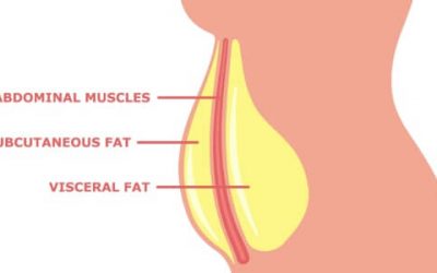 Visceral Fat: The Impact on your health and how to reduce the risks