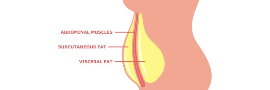 Visceral Fat: The Impact on your health and how to reduce the risks